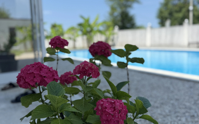 Higos Hotel