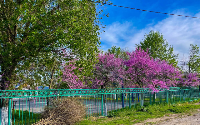 S Otdelnyim Vhodom I Parkovkoj Apartments