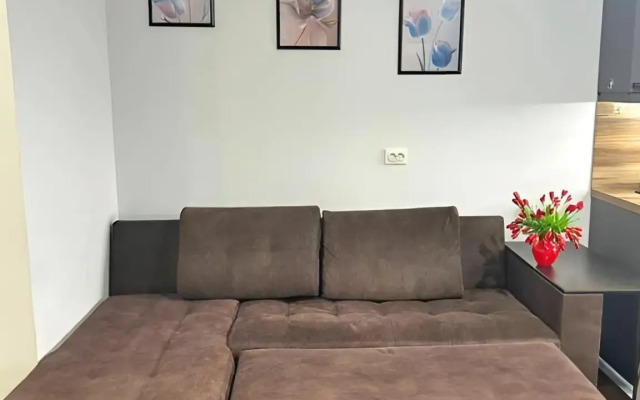 Uyutnaya Prostornaya Yevrodvushka S Vidom Na Goru Flat