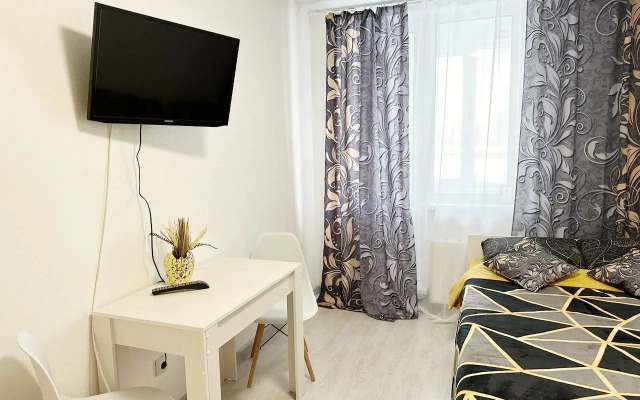 Uyutnaya Studiya Ryadom S. M. Devyatkino Apartments