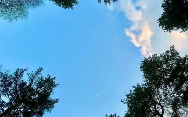 Курортный отель Villa Нефть