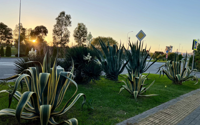 Calypso Guest House