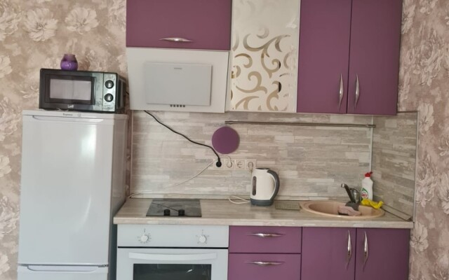 Na Ulitse Kuryzhova 30 (325) Flat