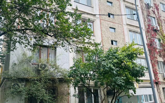 V Mikrorayone Mamyr 1 Flat
