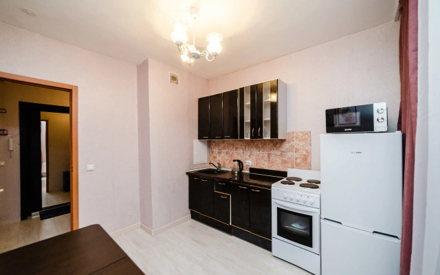 Апартаменты Полины осипенко 2к2 (25)