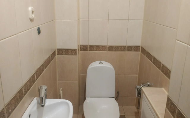 Bolshaya odnushka na pr. Lenina Flat