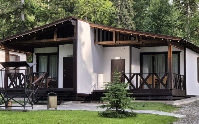 Dacha Apartments