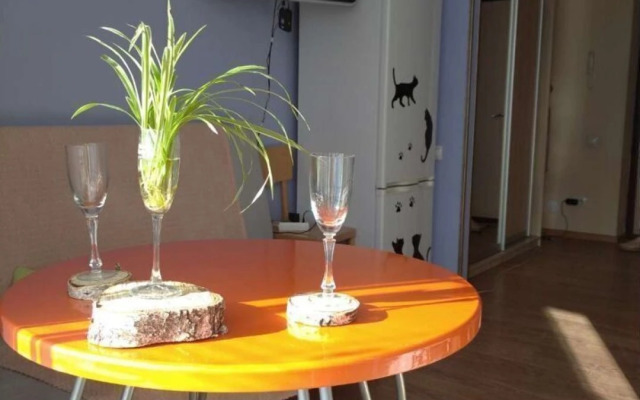 Na Chervishevskom Trakte 45 Flat