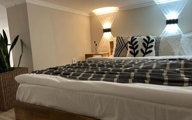 Апартаменты Двухуровневая студия Loft в центре города