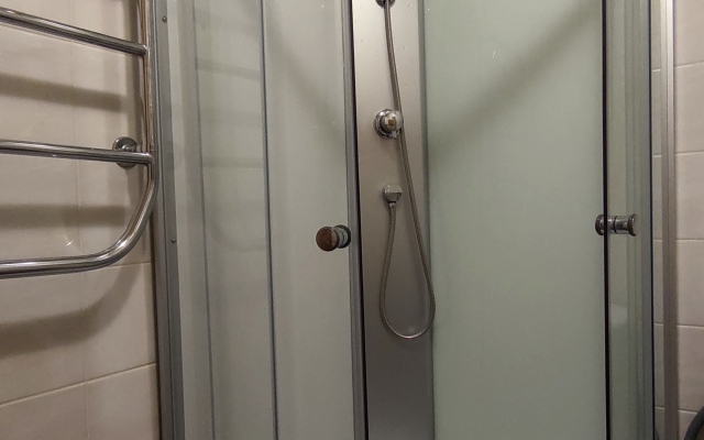 Uyutnaya Kvartira V Zelenom Dvore Apartments