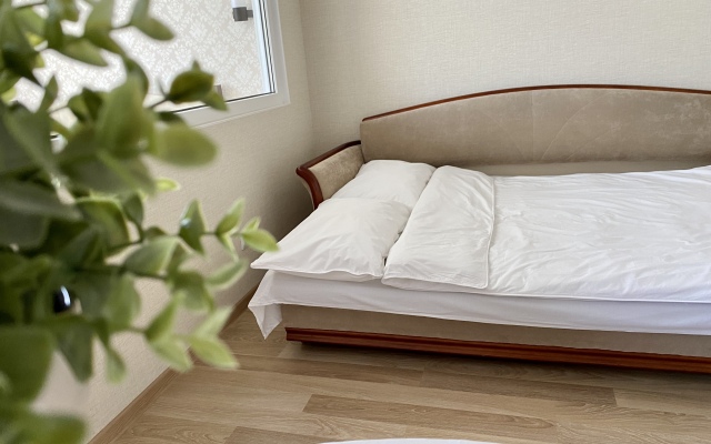 Апартаменты в центре Светлогорска 2