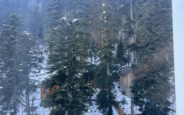 Квартира Комфорт 1 Комнатная