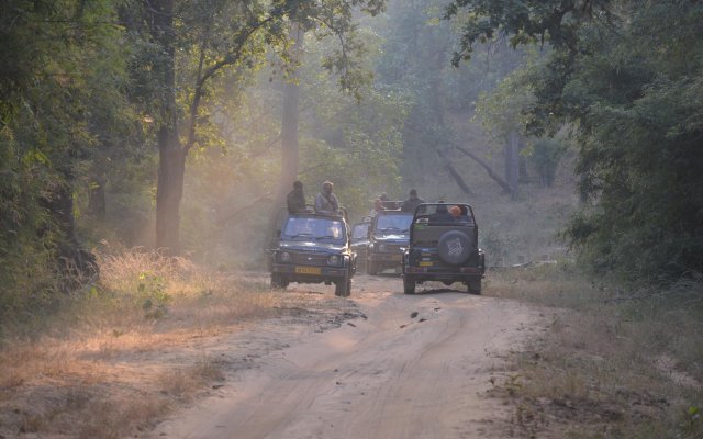 Отель Maati Jungle Lodge