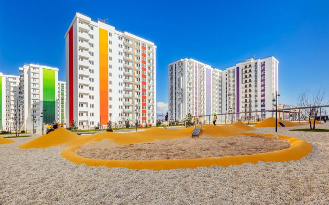 Frukty Abrikos 123 Flat