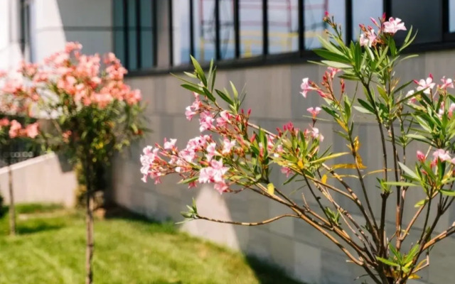 V Zhk Sochi Park Flat