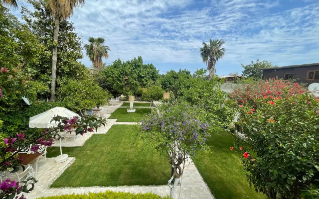 Alican Pension