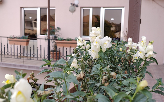 Areg hotel