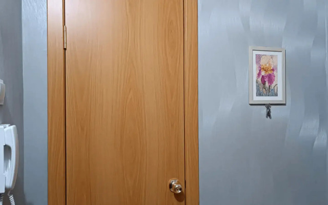 Tsentr. Bereg Reki Apartments