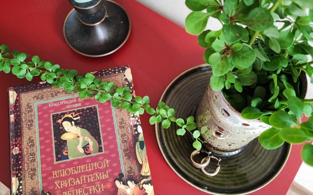 Апартаменты у Луизы