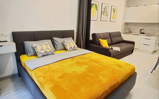 Sovremennaya Studiya s Panoramnymi Oknami Flat