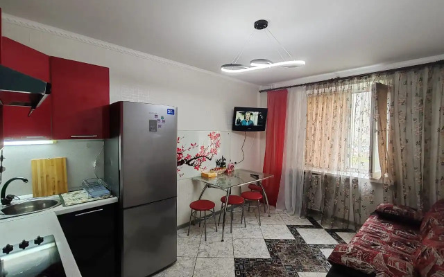 Sovremennaya kvartira Apartments