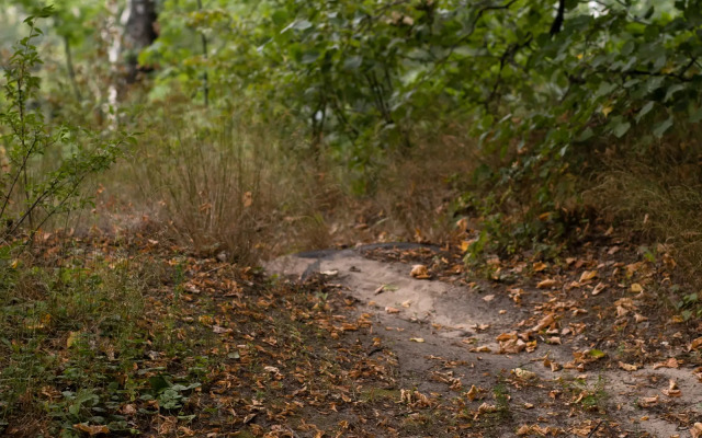 База отдыха Загородный Клуб Кривоборье