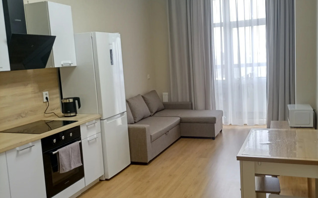 Квартира Посуточно Блюхера 93