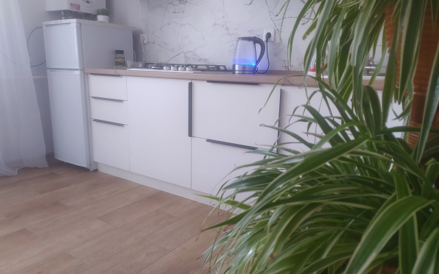 Uyutnaya na Tukhachevskogo Flat