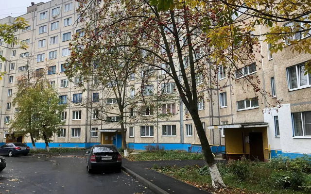 Na Prospekte Traktorostroiteley 35 Flat