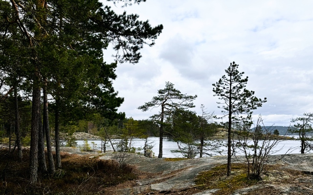 Глэмпинг Lago Ladoga