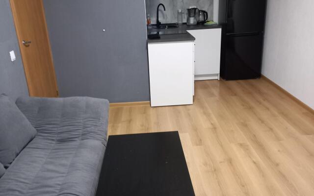 Апартаменты рядом с НИИ Петрова в Песочном