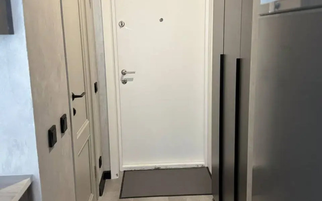 Uyutnaya Studiya Flat