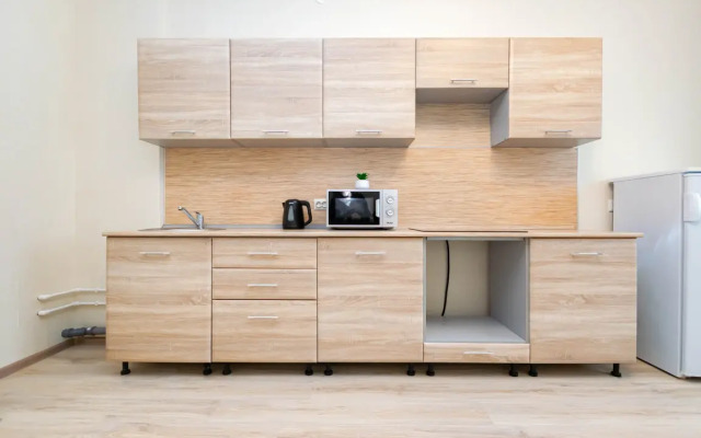 Apartments Cosmos Apart Na Revolyutsii 48a (2)