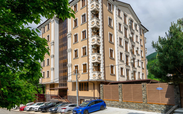 S Vidom Na Gory Apartments