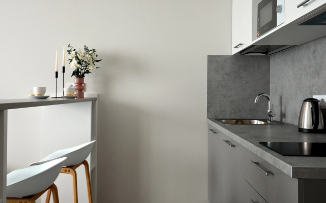 Апартаменты Dream Elegant Apart