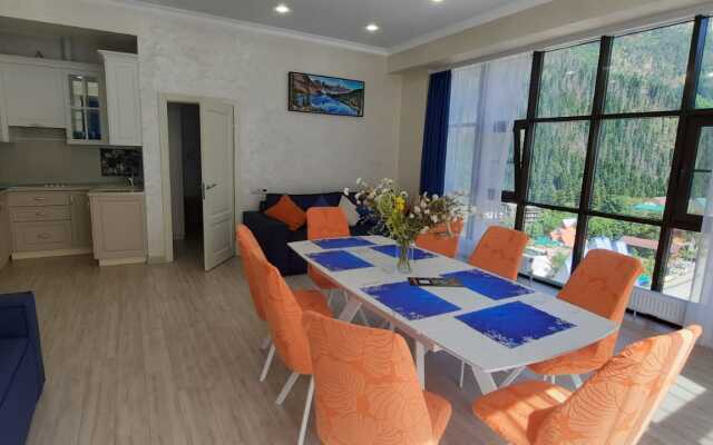 Vershina Apart 910a Apartments