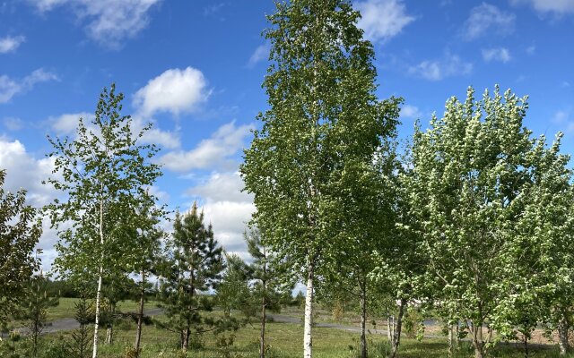 Шале Sky Ranch Izborsk