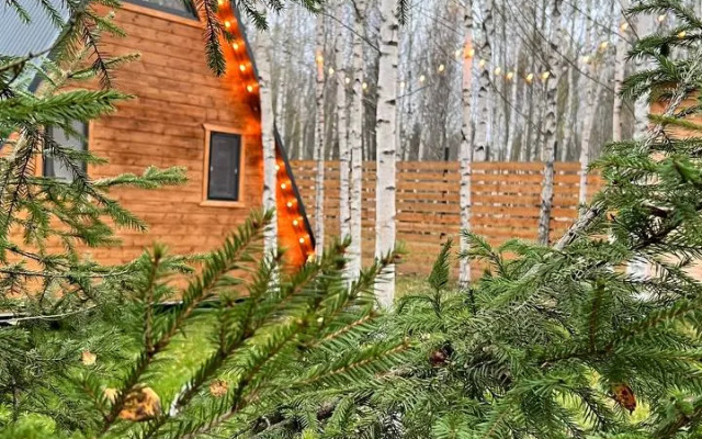 My Little Forest Guest House