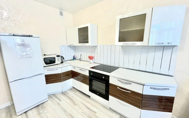 Na Gazovikov 73k1 Flat