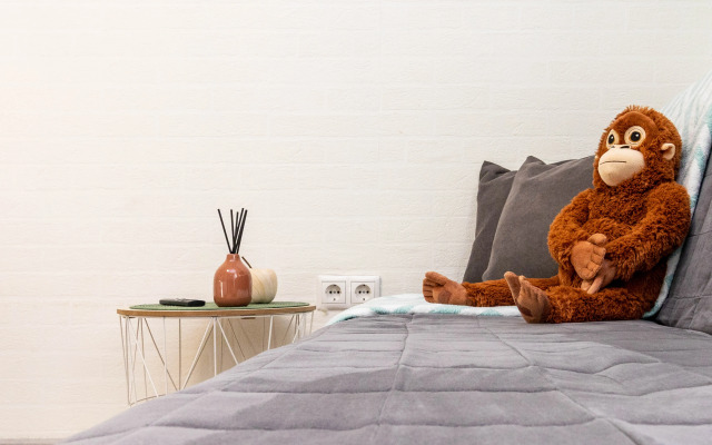 Квартира университетская 49