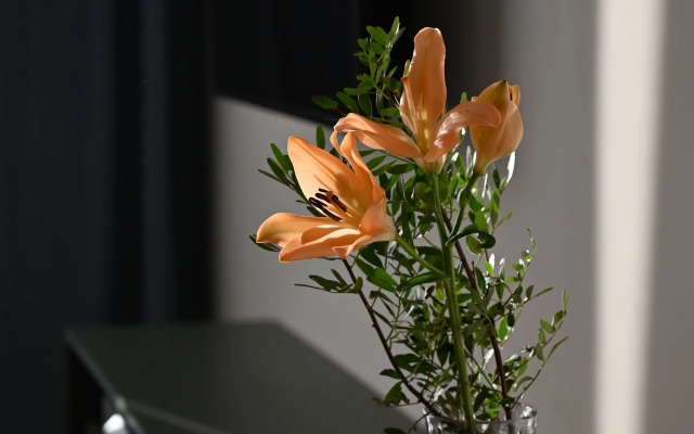 Апартаменты В Петербурге рядом с метро для 3 гостей