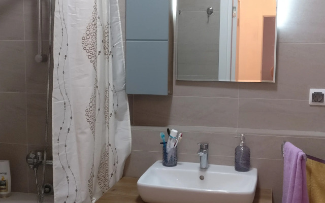 Yevrotryoshka m.Botanicheskiy sad Flat