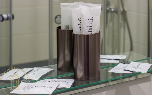 Апартаменты Студия Natalie Apartments Пулковское шоссе 14с6