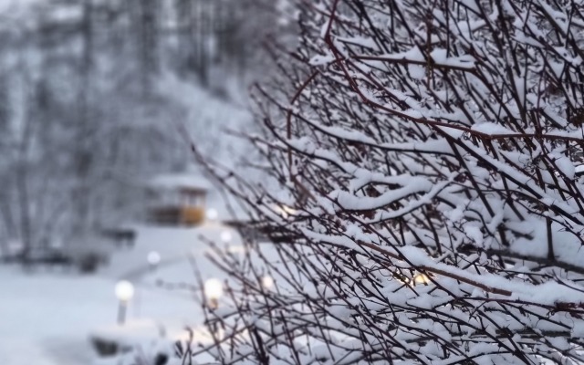 Kamenny Tsvetok Guest House