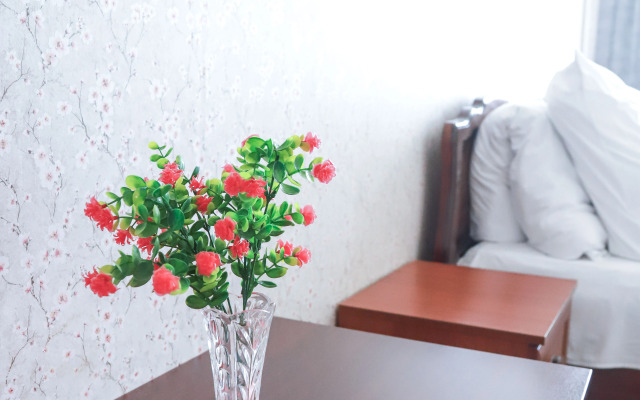 MAXROOMS у Плеса