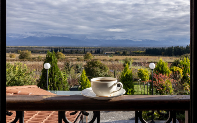 Отель Panorama Kakheti Resort