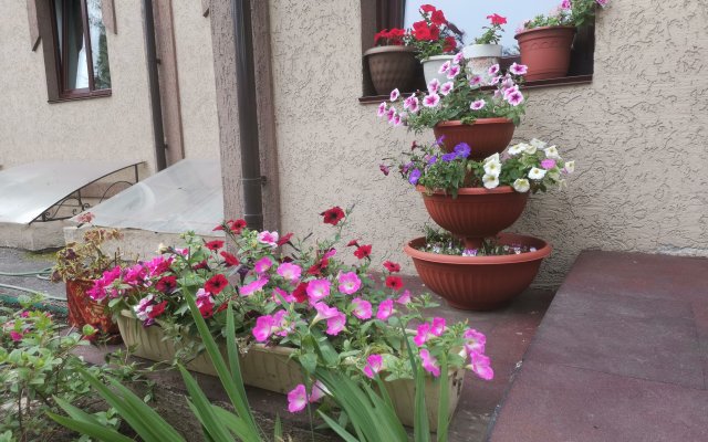 Отель на Звездинской