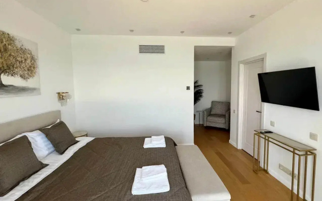 Graf Tolstoy Flat