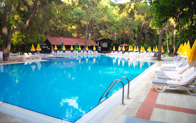 Festival Nature Hotel