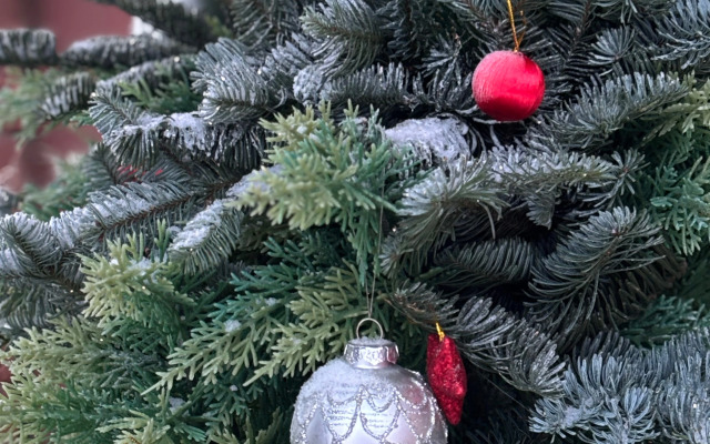 Отель Кристал